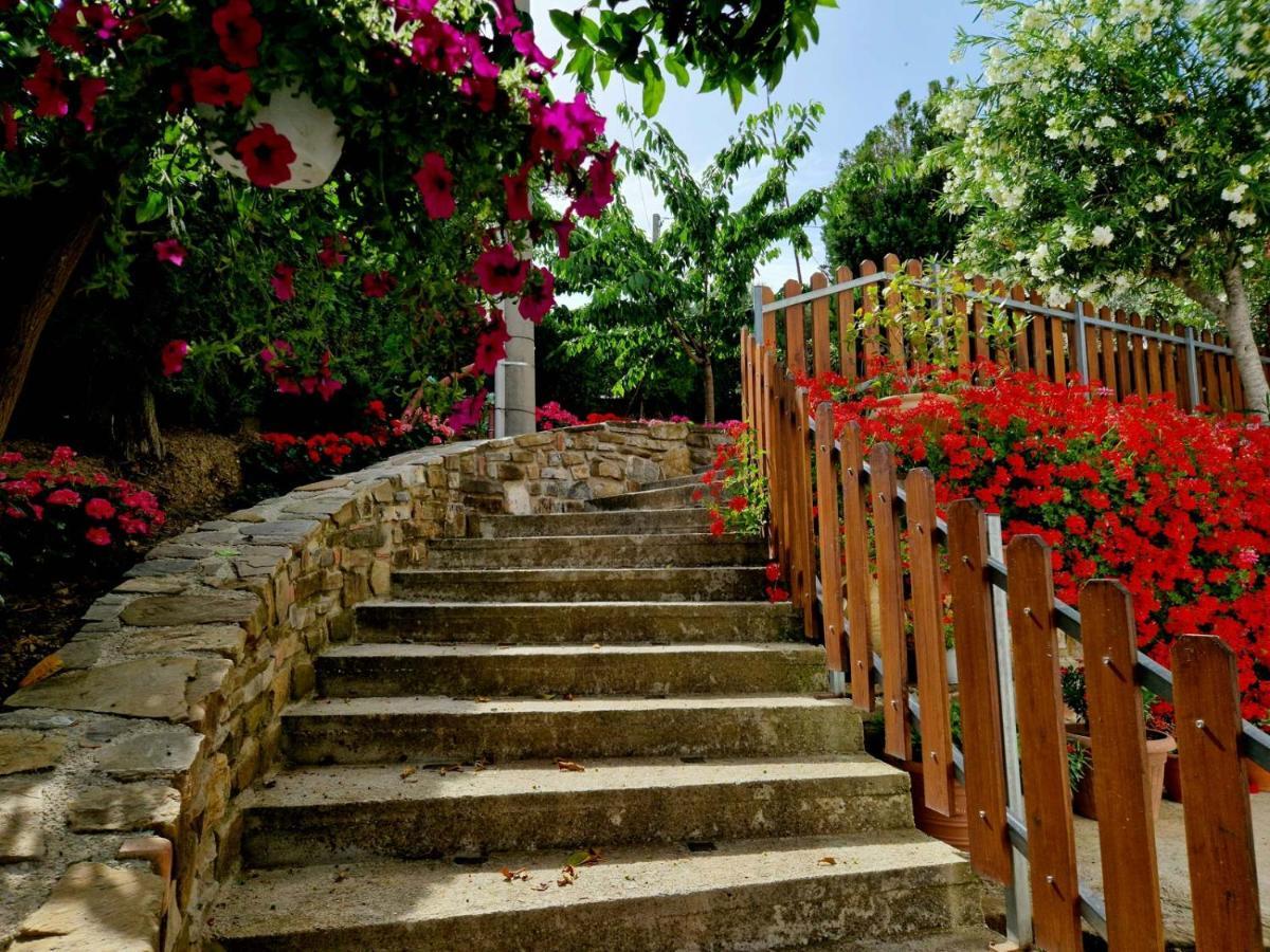 Pietra Del Colle Agriturismo Altavilla Silentina Екстериор снимка
